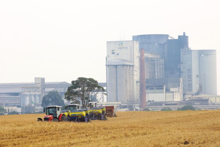 Com crescimento de 77% em 2024, Paraná ocupa segundo lugar nas exportações de milho