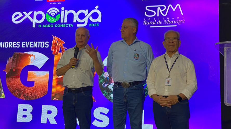 Simpósio na ExpoIngá reforça união de esforços no combate ao greening na citricultura paranaense