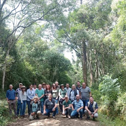 Erva-mate: reconhecimento da FAO é “prêmio à cooperação institucional”, afirma diretora do IDR-Paraná