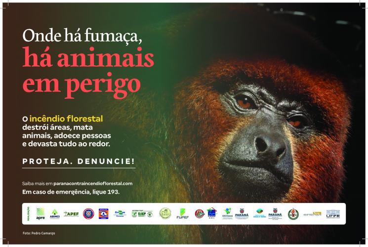 IDR-Paraná participa de Campanha de Prevenção a Incêndios Florestais