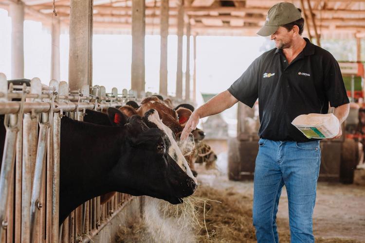 Queijo colonial do Sudoeste é a 19ª Indicação Geográfica do Paraná