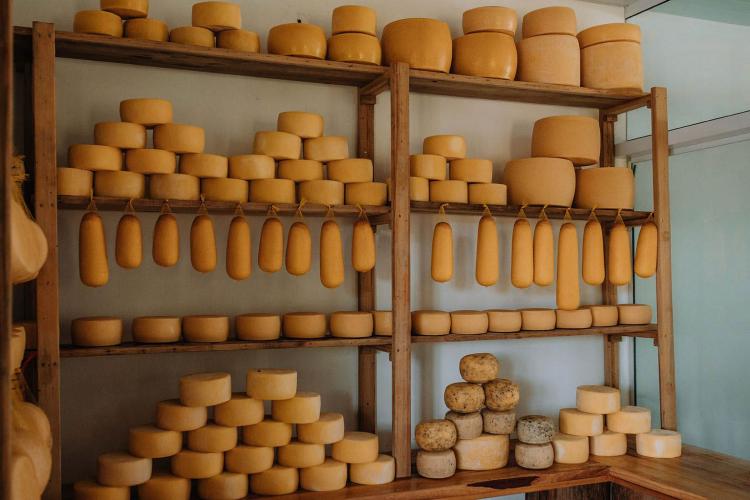 Queijo colonial do Sudoeste é a 19ª Indicação Geográfica do Paraná
