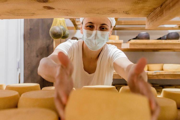 Queijo colonial do Sudoeste é a 19ª Indicação Geográfica do Paraná