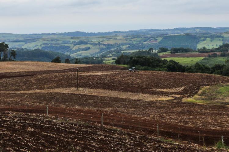 Produtores da região Sudoeste entram no vazio sanitário da soja, que vai até setembro