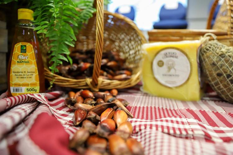 Paraná recebe encontro nacional para debater incentivo ao turismo rural no Brasil