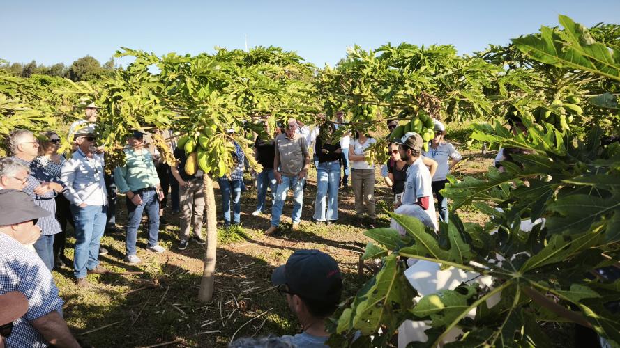 Missão do Banco Mundial visita o Paraná para definir investimento de US$ 186 milhões em Programa de Segurança Hídrica