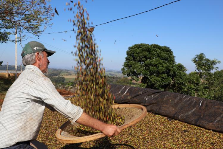Valorização: café de Mandaguari conquista a 20ª Indicação Geográfica do Paraná