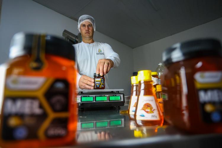 Tradição e qualidade: com 21 produtos, Paraná se torna líder de Indicações Geográficas