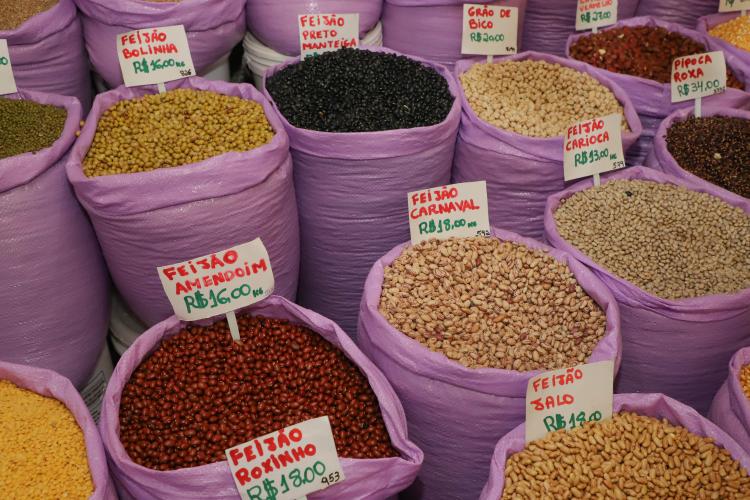 Paraná confirma novo recorde e liderança nacional na produção de feijão: 865 mil toneladas