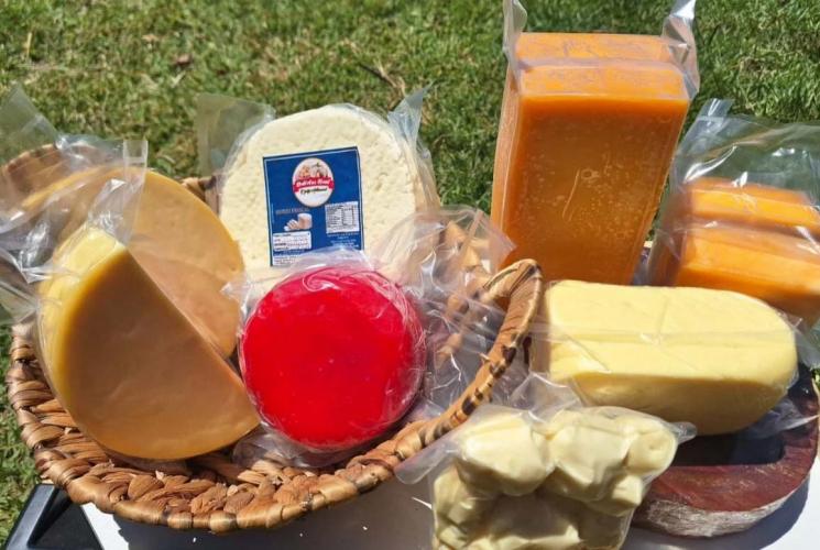 Com 165 medalhas, Paraná se destaca novamente no Prêmio Queijo Brasil