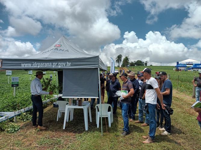 IDR-Paraná divulga resultados e avanços do Projeto Grãos Centro-Sul