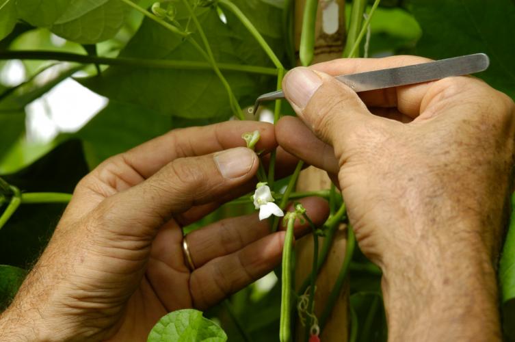 Ciência que transforma o campo