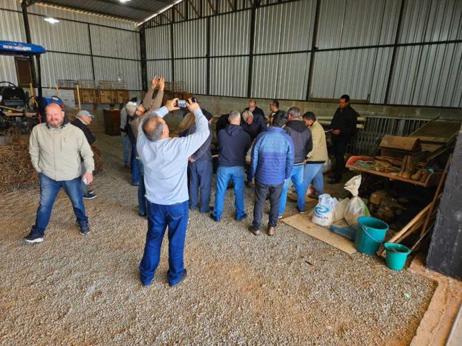 Treino-visita potencializa assistência a produtores de morango