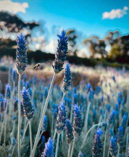 Turismo gera renda no meio rural