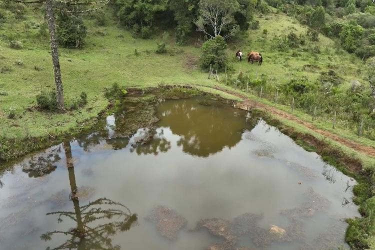 Paraná tem projeto de proteção de microbacias no campo para garantir segurança hídrica