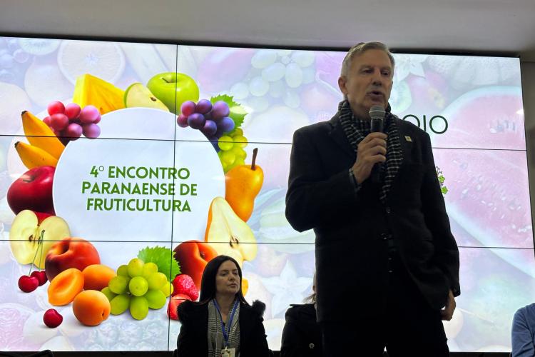 Encontro de fruticultura destaca oportunidades e desafios da atividade no Paraná