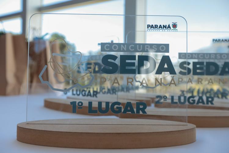 Produtoras de seda do Paraná são premiadas com viagem para a França