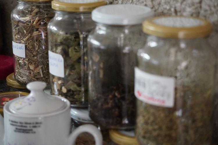 Feira Sabores do Paraná 2025 terá como novidade uma seção de hortifruticultura