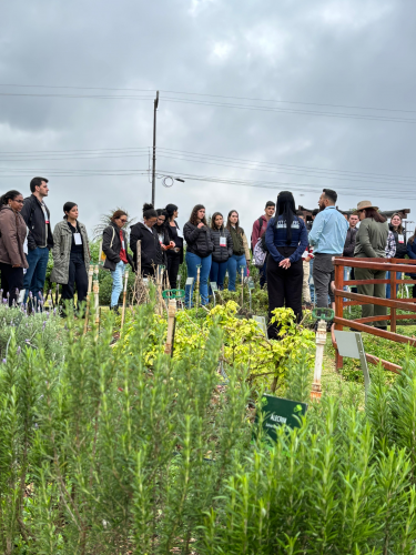 Cascavel tem evento de agroecologia com foco no inverno