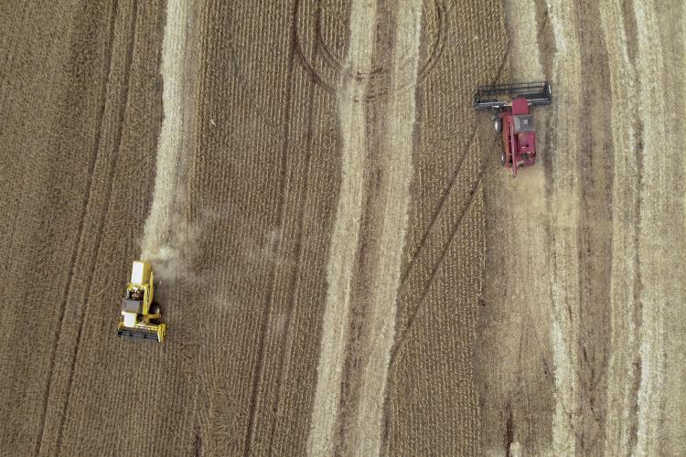 Primeira estimativa da safra 2025/26 mostra aumento na produção de soja e milho no Paraná