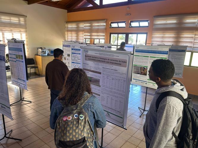 Programa de bolsas abre portas para novos talentos da pesquisa