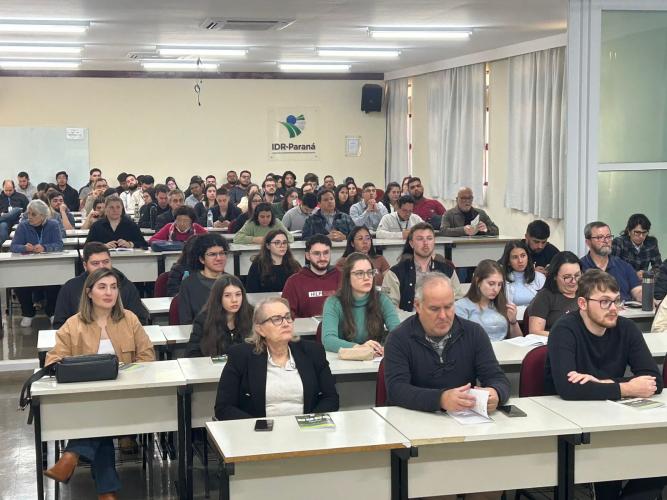 Programa de bolsas abre portas para novos talentos da pesquisa