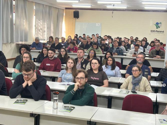 Programa de bolsas abre portas para novos talentos da pesquisa