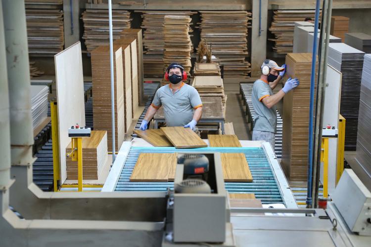 Com alta de 20,7%, Paraná consolida vice-liderança no valor da produção florestal