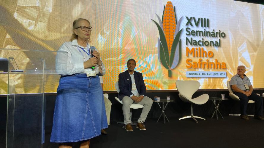 Londrina recebe seminário nacional de milho safrinha