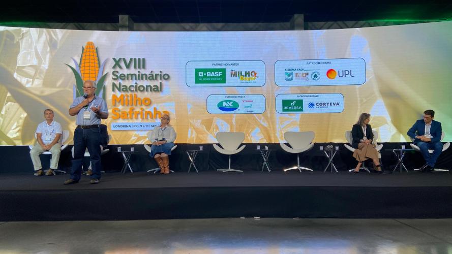 Londrina recebe seminário nacional de milho safrinha