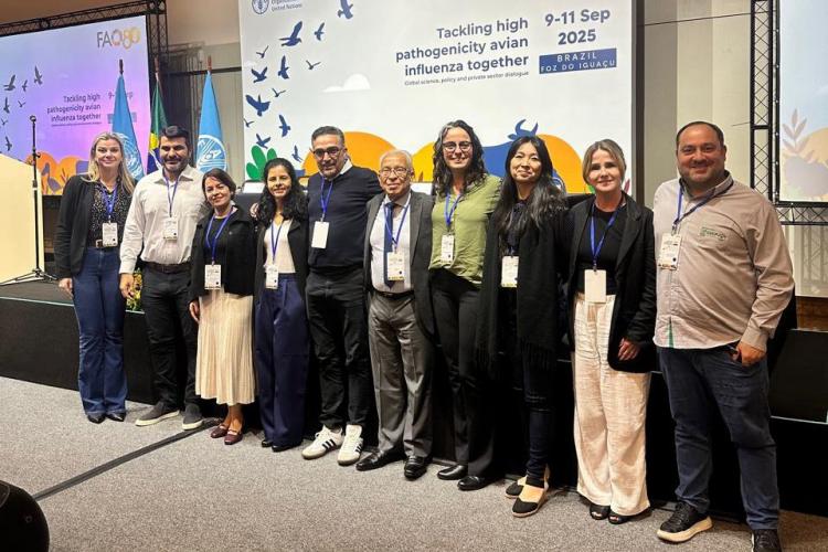 Paraná debate prevenção da gripe aviária em encontro com órgãos internacionais