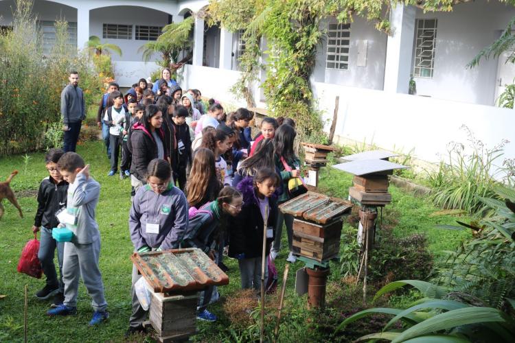 Agroecologia na Escola: projeto aproxima crianças, produção de alimentos e natureza
