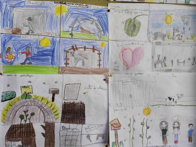 Agroecologia na Escola: projeto aproxima crianças, produção de alimentos e natureza