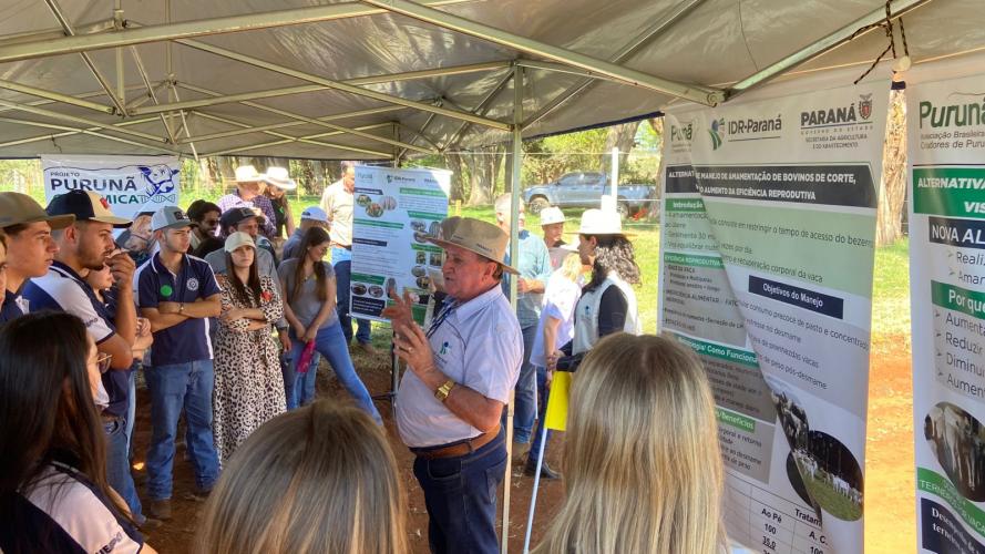 Integração lavoura-pecuária é destaque da II Mostra Tecnológica Fazenda-Modelo, em Ponta Grossa
