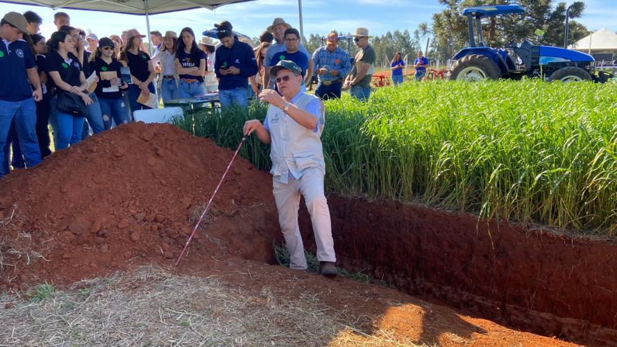 Integração lavoura-pecuária é destaque da II Mostra Tecnológica Fazenda-Modelo, em Ponta Grossa