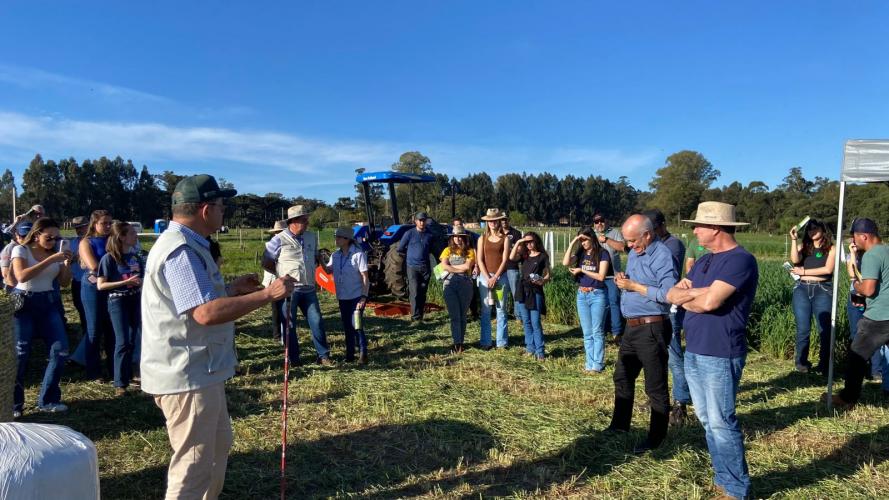 Integração lavoura-pecuária é destaque da II Mostra Tecnológica Fazenda-Modelo, em Ponta Grossa