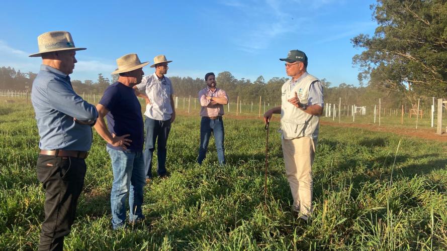 Integração lavoura-pecuária é destaque da II Mostra Tecnológica Fazenda-Modelo, em Ponta Grossa
