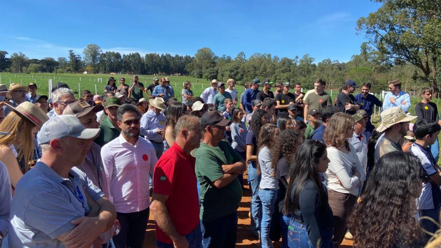 Integração lavoura-pecuária é destaque da II Mostra Tecnológica Fazenda-Modelo, em Ponta Grossa