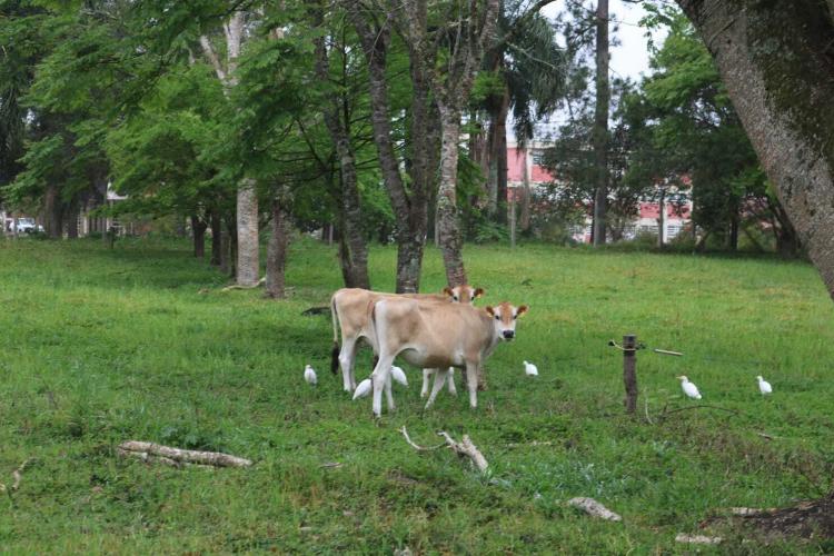 Estação de Pesquisa em Agroecologia recebe visita de Santa Catarina