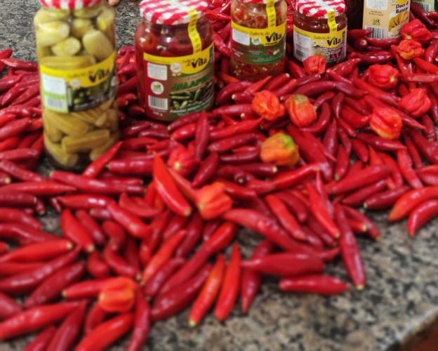 Agroindústria de Ourizona conquista o estado