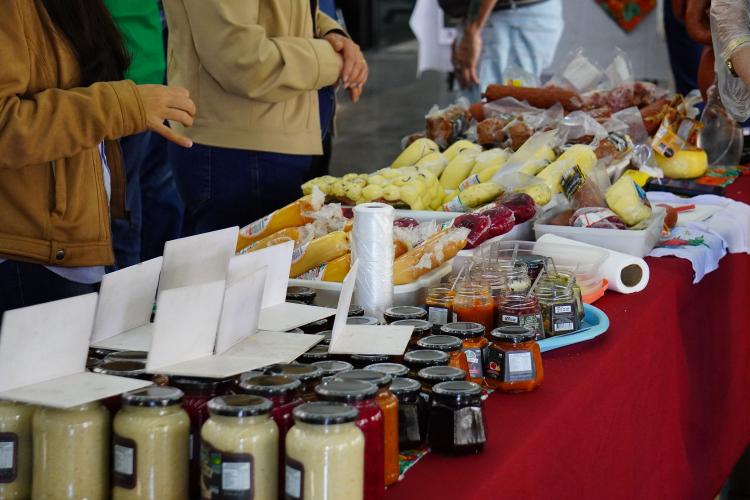 Sistema Estadual de Agricultura divulga ações durante o Dia Mundial da Alimentação