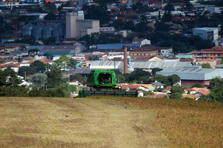 Paraná tem terceira maior alta do País na previsão da safra de setembro, aponta IBGE