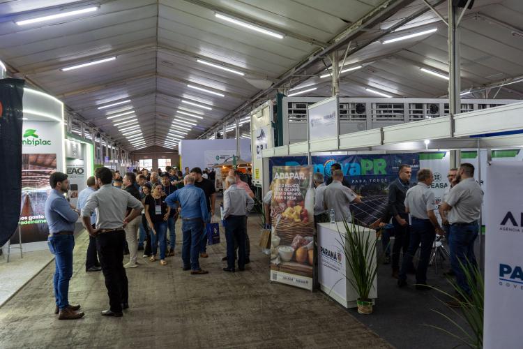 Governador destaca expansão contínua da produção de proteína animal na AveSui 2025