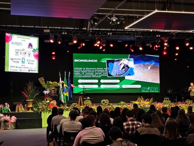 Paraná sedia Simpósio Nacional do Morango e lança Rota Turística do Morango Paranaense