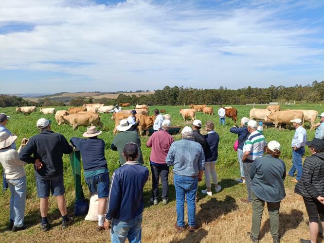 Australianos conhecem pesquisas do IDR-Paraná em Santa Tereza do Oeste