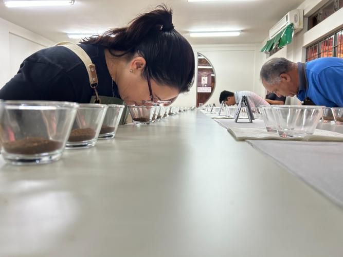 IDR-Paraná abre inscrições para curso de classificação e degustação de café