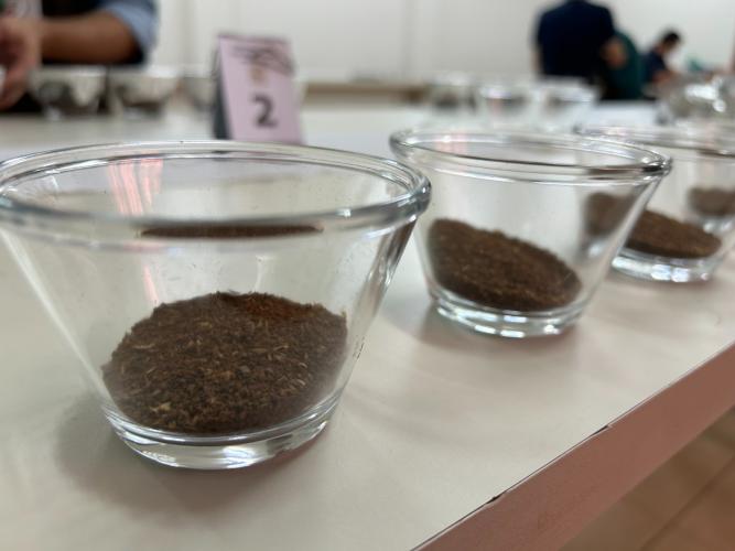 IDR-Paraná abre inscrições para curso de classificação e degustação de café