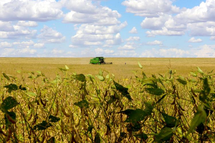 Inteligência artificial