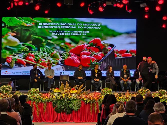 Paraná sedia Simpósio Nacional do Morango e lança Rota Turística do Morango Paranaense