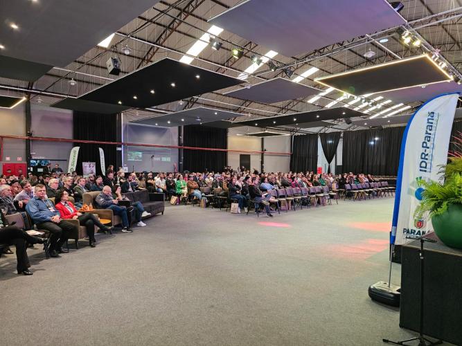 Paraná sedia Simpósio Nacional do Morango e lança Rota Turística do Morango Paranaense